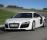 奧迪R8 V10 5.2 FSI quattr