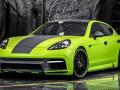 Regula Exclusive 保時捷Panamera Turb