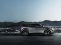 路虎Range Rover Evoque Victoria Beckha