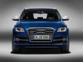 奧迪SQ5 TDI