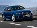 奧迪SQ5 TDI