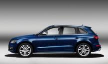 奧迪SQ5 TDI