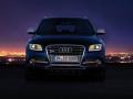 奧迪SQ5 TDI