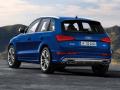 奧迪SQ5 TDI
