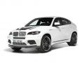 AC Schnitzer寶馬X6 M