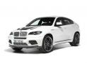 AC Schnitzer寶馬X6 M
