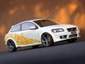 沃爾沃 Heico C30 SEMA概念車