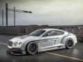 賓利歐陸GT3概念車
