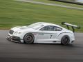 賓利歐陸GT3概念車