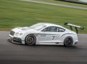 賓利歐陸GT3概念車