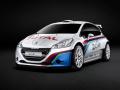 標致208 R5