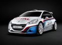 標致208 R5