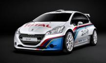 標致208 R5