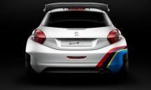 標致208 R5