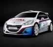 標致208 R5