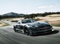 梅賽德斯奔馳SLS AMG GT3 45th Anniversar