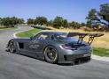 梅賽德斯奔馳SLS AMG GT3 45th Anniversar