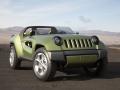 Jeep Renegade Bluete
