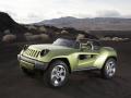 Jeep Renegade Bluete