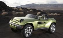 Jeep Renegade Bluete