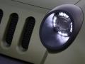 Jeep Renegade Bluete