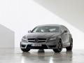 梅賽德斯奔馳CLS63 AMG Shooting Brake