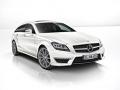 梅賽德斯奔馳CLS63 AMG Shooting Brake S-Model