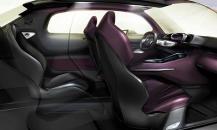 Luxury car