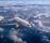 airplane