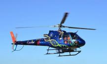 歐洲-AS350 B3