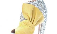 shoe