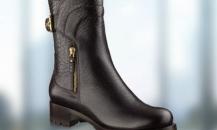 shoe