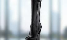 shoe