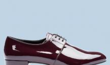 shoe