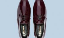 shoe