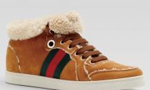 shoe