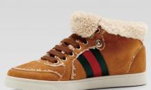 shoe
