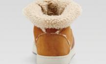 shoe