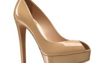 shoe
