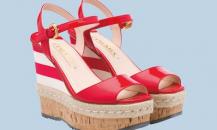 shoe
