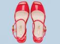 shoe