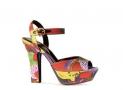 shoe