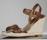 shoe