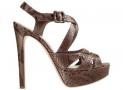 shoe