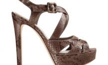 shoe