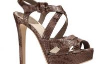 shoe