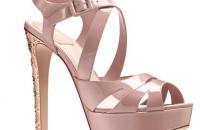 shoe