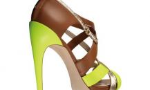 shoe