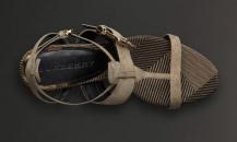 shoe