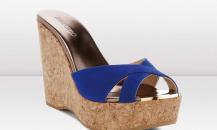 shoe